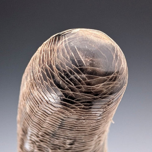 復古角鱗裝飾物一對小雕像